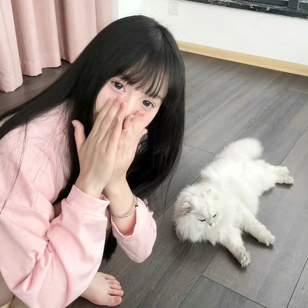 自由作家在线观看
